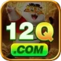 12q APK Max v5.5.4